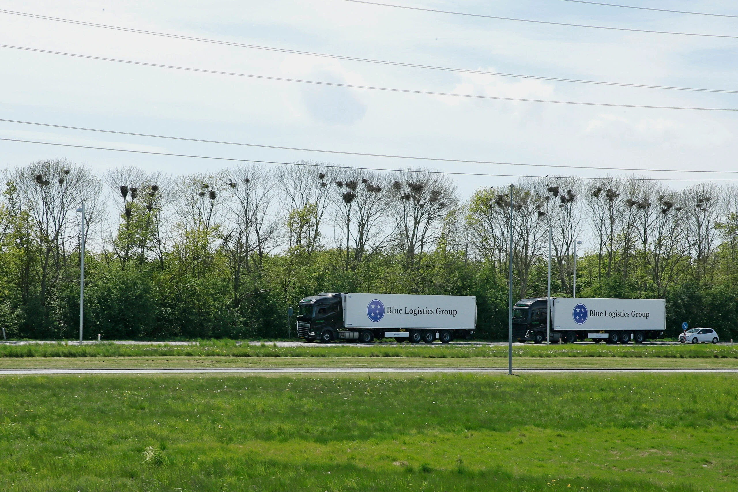 Två lastbilar med Blue Logistics Groups trailrar på väg förbi ett fält